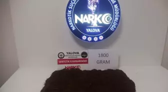 Yalova'da Uyuşturucu Operasyonu: 1 Tutuklama