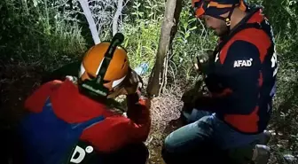 Yalova'da Kayıp Şahıs Ormanlık Alanda Ölü Bulundu