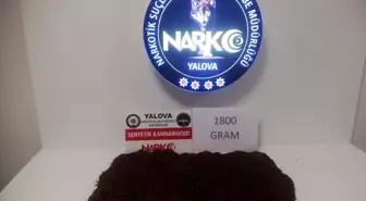 Yalova'da Uyuşturucu Operasyonu: 1 Şüpheli Tutuklandı