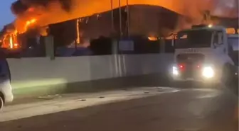 Adana'da Geri Dönüşüm Fabrikasında Büyük Yangın