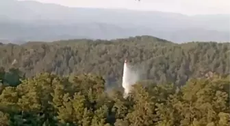 Muğla ve Aydın'da Üç Orman Yangını Kısa Sürede Söndürüldü