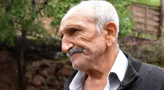 Kırıkkale'de Kurt Saldırısı: 16 Küçükbaş Hayvan Telef Oldu