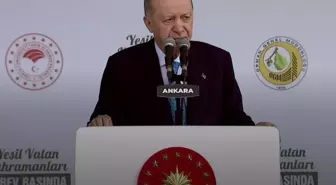 Cumhurbaşkanı Erdoğan'dan 'Yeşil Vatan' vurgusu: 5 karar aldık