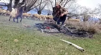 Çayırlı'da Dolu Yağışı Sonrası Oğlak Isıtma Mücadelesi