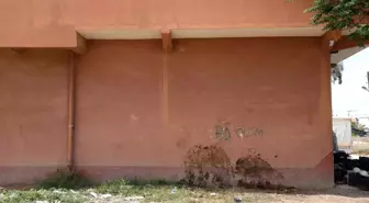Hatay'da Atın Duvara Çarpma Anı Kamerada