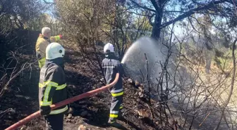 Hatay'da Ormanlık Alanda Yangın Kontrol Altına Alındı