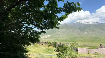 Karagüney Köyü'nde Ağaçlandırma Seferberliği