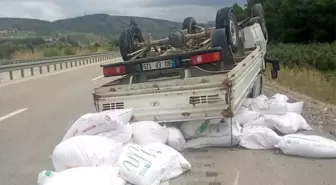 Osmaniye'de Un Yüklü Kamyonet Takla Attı