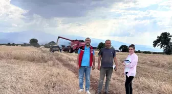 Salihli'de Hububat Hasadı Denetimleri Başladı