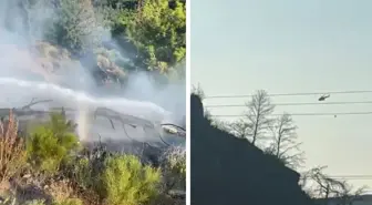 Muğla'da iki orman yangını birden çıktı