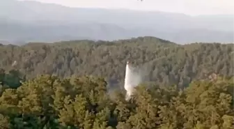 Muğla ve Aydın'da Üç Orman Yangını Hızla Söndürüldü