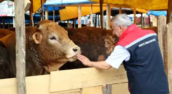Kurban Bayramı Öncesi Tarım Müdürü'nden Hayvan Sağlığı Uyarısı