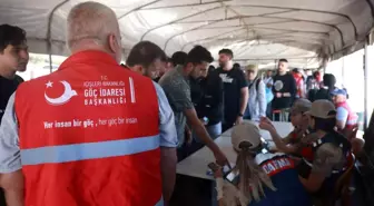 Suriyeliler Kurban Bayramı İçin Ülkelerine Dönüyor