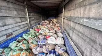 Van'da Kaçak Avcılığa Geçit Yok: 22 Ton İci Kefali Ele Geçirildi