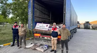 Van'da 22 Ton İci Kefali Ele Geçirildi, 17 Şüpheli Hakkında İşlem Yapıldı