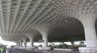 Mumbai Havalimanı'nda Valizde 48 Zehirli Yılan ve 5 Kaplumbağa Ele Geçirildi