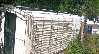 Devrek'te Minibüs Devrildi: 3 Yaralı