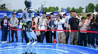 Dünya Robot Karnavalı Wuhan'da Başladı