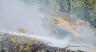 Muğla ve Aydın'da Üç Ayrı Orman Yangını Kontrol Altına Alındı