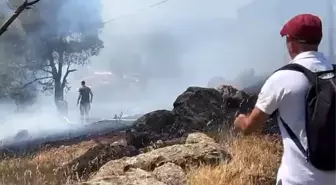 Ayvalık'ta Cennet Tepesi'nde Orman Yangını Kontrol Altında