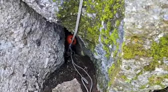 Kayıp Keçi 3 Gün Sonra Mağarada Bulundu