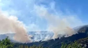 Karabük'te Yangın Alanı Ağaçlandırılacak
