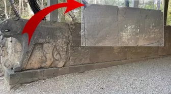 Milyonlarca dolarlık sırlar Osmaniye'de saklı! Çözülmesi için ödüller kondu