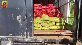 Sakarya'da Durdurulan Kamyonette 5 Ton Sağlıksız Deniz Midyesi Ele Geçirildi