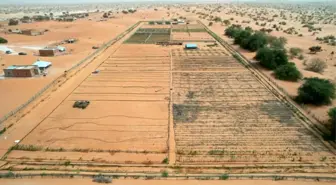 Çin-Afrika Yeşil Teknoloji Parkı ile Çölleşmeye Karşı Mücadele