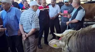 Aydın'da Kurban Bayramı Öncesi Denetimler Artırıldı