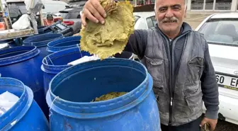 Erbaa Narince Yaprağı, Zirai Dona Rağmen İkinci Şansını Buldu