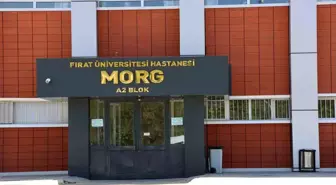 Elazığ'da Uçurumdan Düşen Genç Hayatını Kaybetti