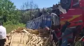 Yalova'da Freni Boşalan Kamyon Devrildi: Sürücü Yaralandı