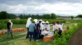 Iğdır'da Arıcılığı Geliştirmek İçin Kovan Dağıtımı Yapıldı