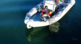Uluabat Gölü'nde Usulsüz Avcılığa Cezalar ve Doğal Hayata Dönüş