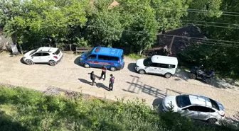 Karabük'te Köpeklerin Telef Edilmesi Üzerine Jandarma Soruşturma Başlattı