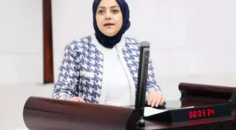 Sema Silkin Ün'den Netanyahu'ya Sert Tepki