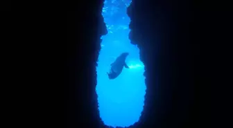 Kuşadası'nda Nesli Tehlike Altında Olan Akdeniz Foku Görüntülendi