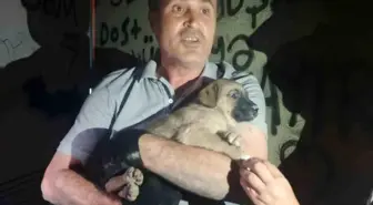 Eskişehir'de Mahsur Kalan Yavru Köpek Kurtarıldı