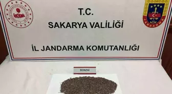 Sakarya'da Uyuşturucu Operasyonu: 150 Gram Bonzai Ele Geçirildi