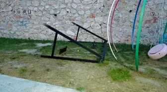 Amasya'da Salıncağın Altında Kalan 4 Yaşındaki Çocuk Hayatını Kaybetti