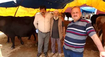 Samsun'da Kurban Bayramı Öncesi Hayvan Pazarında Satışlar İyi Gidiyor