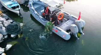 Uluabat Gölü'nde Usulsüz Avcılığa Cezalar ve Sazanlar Doğaya Döndü