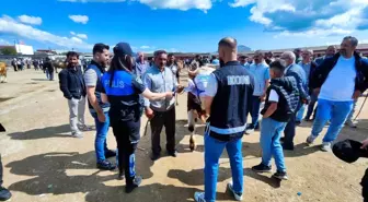 Ağrı Emniyeti Kurban Bayramı Öncesi Vatandaşları Bilgilendiriyor
