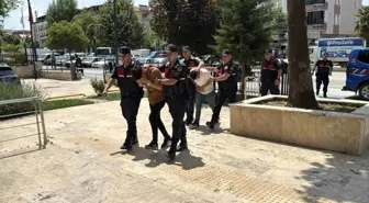 Tokat'ta Cinsel İstismar İddiası: Bir Kardeş Tutuklandı