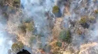 Foça'da Tütsü Yangını Ormana Sıçradı
