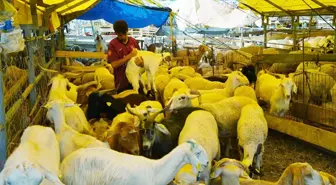 Bahçelievler'deki Kurban Pazarı Başarıyla Kapandı