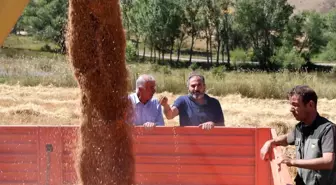 Sivaslı Çiftçilerin Yüzü Hububat Alım Fiyatlarıyla Güldü