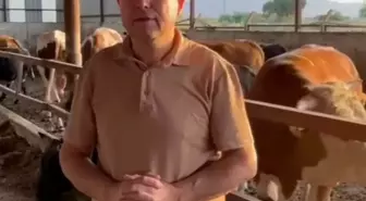 Danadan Saldırıya Uğrayan İş İnsanı Hayatını Kaybetti