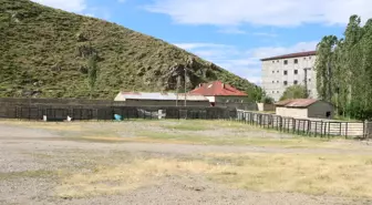 Şap Hastalığı Nedeniyle Hakkari'de Hayvan Pazarları Kapandı